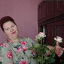 ���� ������, ������ - ��������� 6 ������� 2025 � ������ ���� ����������