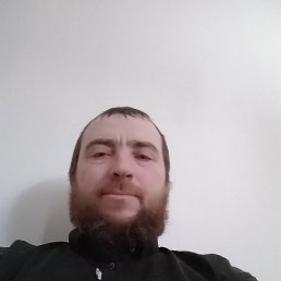 ������, 41 ���, �������