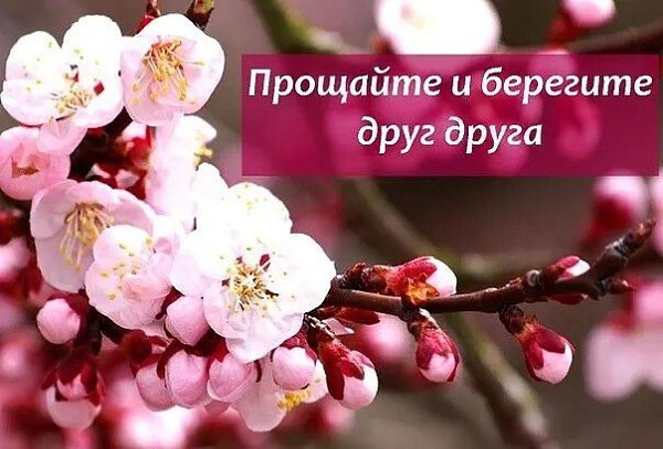 17 ����� - �������� �����������.� ���������� ���� ������� �������������� ������� � ���� ����� ��� ...