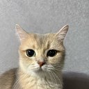 ���� ������, ��������, 45 ��� - ��������� 27 ������� 2025 � ������ ���� ����������