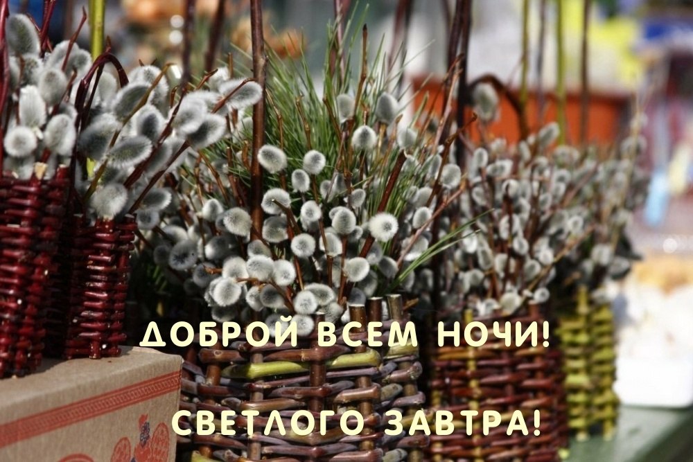   ,    . - 24  2025  16:48
