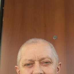 , 54 , 