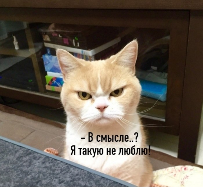 ��� ���� � ����� �� �� - 12 ��� 2026 � 15:55 - 3