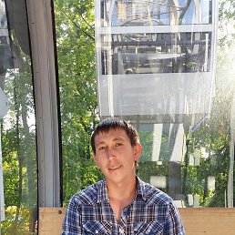 ����, 37 ���, ���������