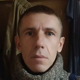 �������, ���������, 46 ���