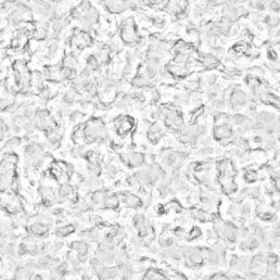 Heemsanemo, ������, 35 ���