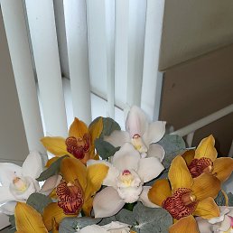 ���� �������, ������, 60 ��� - ��������� 28 ������ 2024