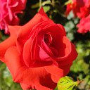 ���� �����, ������ - ��������� 25 ������� 2026 � ������ �������