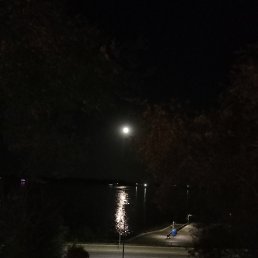 ���� ����, ���������, 85 ��� - ��������� 4 ������ 2024