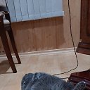 ���� ��������, �������� - ��������� 5 ������ 2025 � ������ ������ ��������