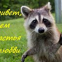 ���� �������, �����, 51 ��� - ��������� 3 ��� 2024 � ������ ���� ����������
