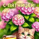 ���� �����, ��������, 51 ��� - ��������� 17 ������� 2025 � ������ ���� ����������