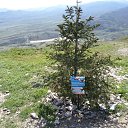 ���� �������, �������� - ��������� 1 ���� 2025 � ������ ���� ����������