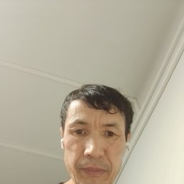 , 44, 