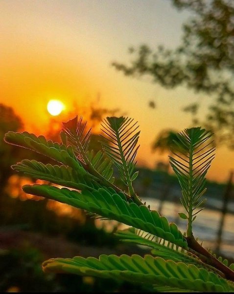    ...      .  ~~~~~~~~~~~~~~~~~~~~ - 6