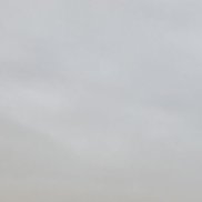 ����, 43 ����, ���������