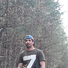 ���� Shodi, ���������, 39 ��� - ��������� 15 ������ 2024