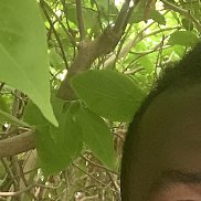 Martin, 38 ���, �����������