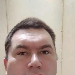 �����, 41 ���, �����������