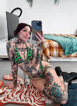 �����������
