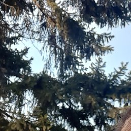 ����������, ����, 18 ���