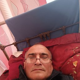 , 59, 