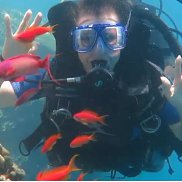 �����, 43 ����, ������