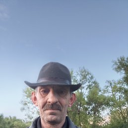 , 50, 