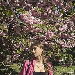 ��������, ������, 18 ���