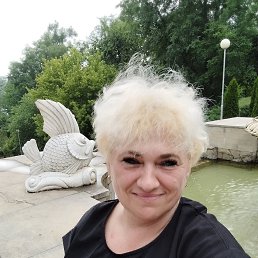 ���� �������, �������, 95 ��� - ��������� 22 ������ 2023