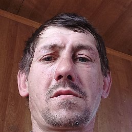 �����, ����, 40 ���