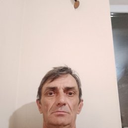 , 51 , 