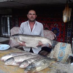 ������, 65 ���, ������-��-����