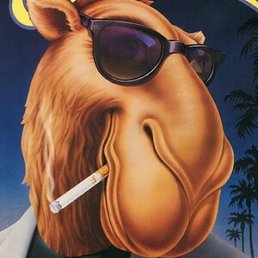 ������, ������, 47 ���