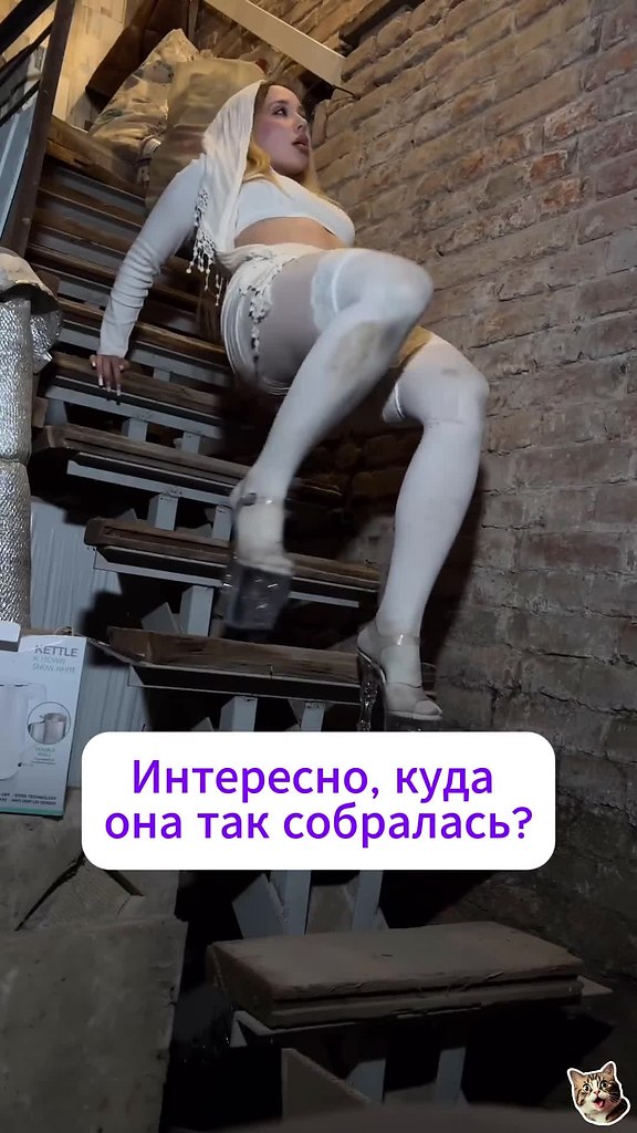 ������ ��������