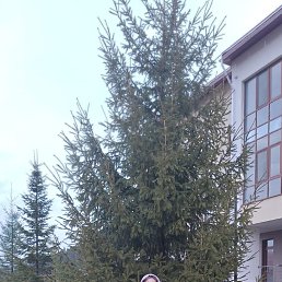 ���� �������, ����, 57 ��� - ��������� 24 ������� 2026