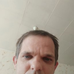 ���� �������, ���������, 44 ���� - ��������� 1 ���� 2025