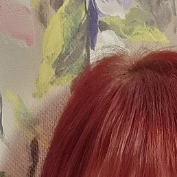 �������, �����, 43 ����