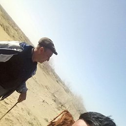 , 29, 