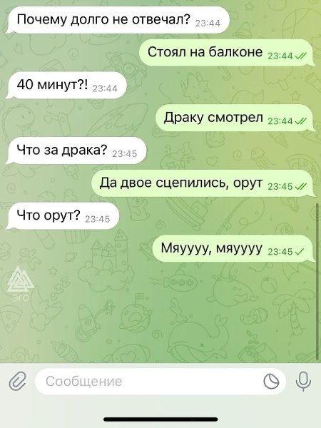 Такое зрелище нельзя останавливать на половине