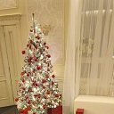 ���� �������, �����������, 46 ��� - ��������� 7 ������ 2025