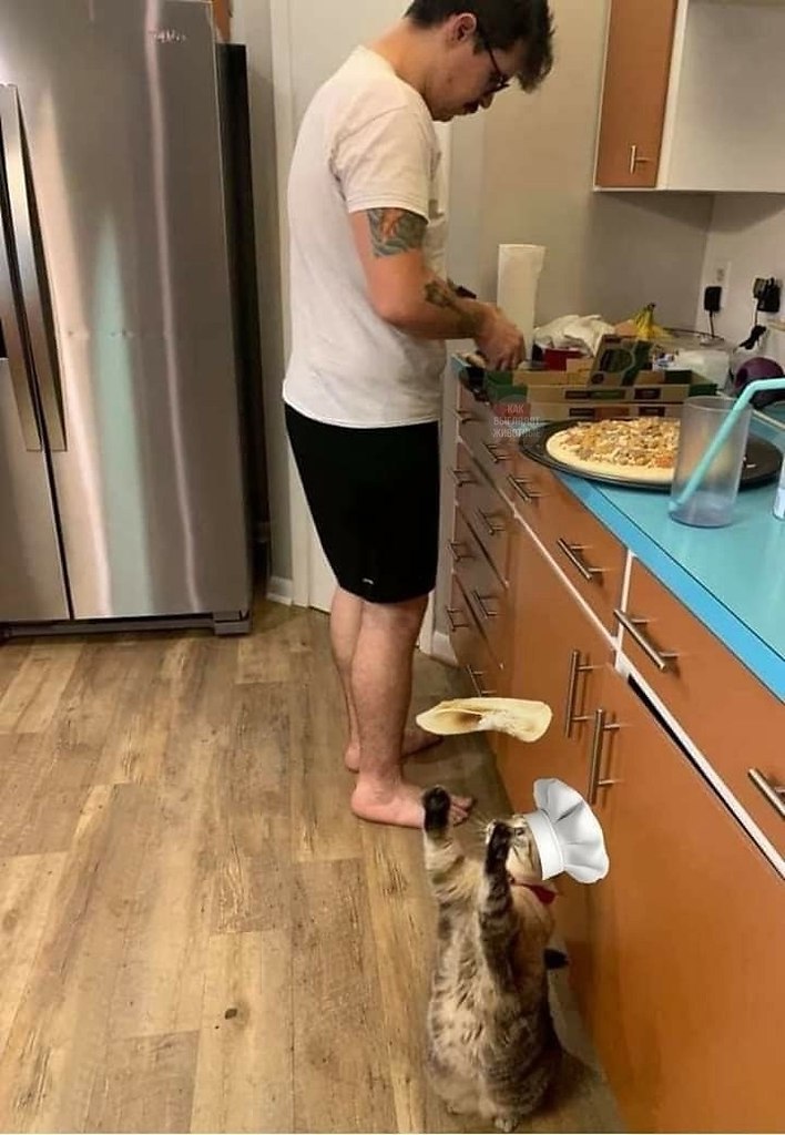 �������� �� ����� ������� �� ��������, ��� � ����� ����������