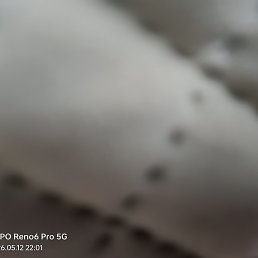 Vikas, ����, 38 ���