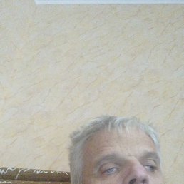 , 51 , 