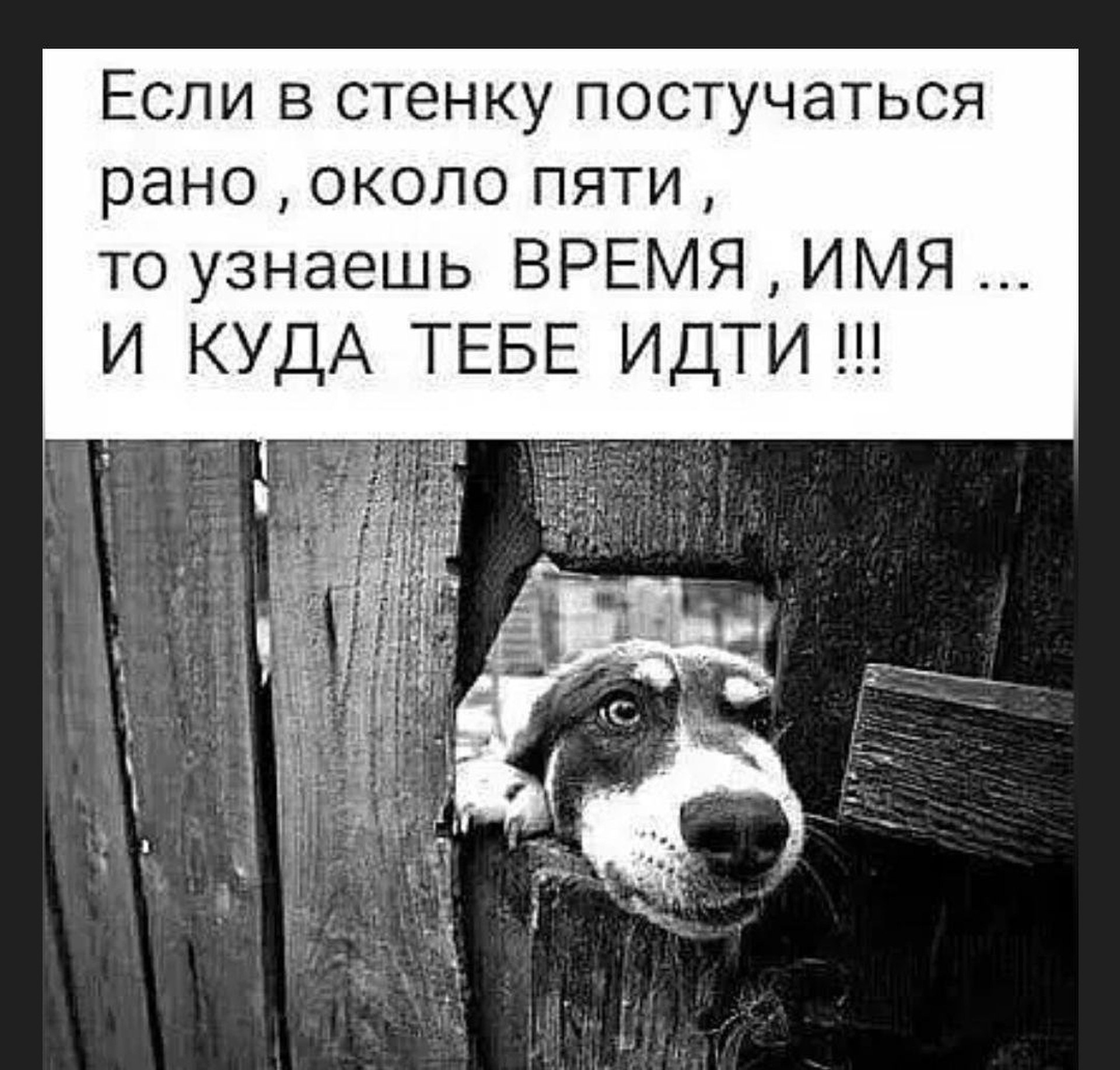  - 8  2024  23:48