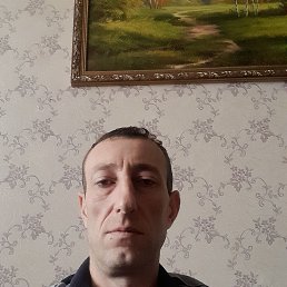 , 41, 