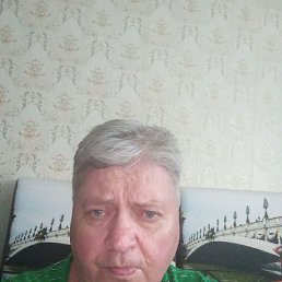 , 54 , 
