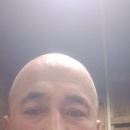 ������, 41 ���, �����-���������