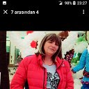 ���� �����, ��������� - ��������� 15 ���� 2024 � ������ ���� ����������