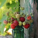 ���� ���, �������� - ��������� 20 ���� 2026 � ������ ������ ��������